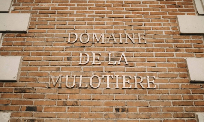 Langeais Autre | The Château and its Orangery