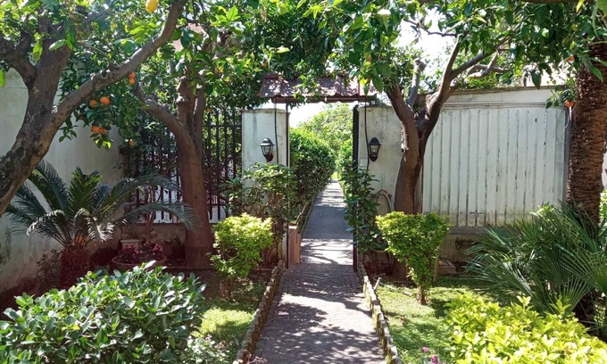 San Marco Evangelista Appartement | The Citrus Garden