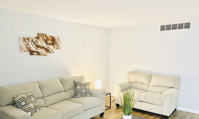 Springfield Maison | The Contemporary Hidden Gem
