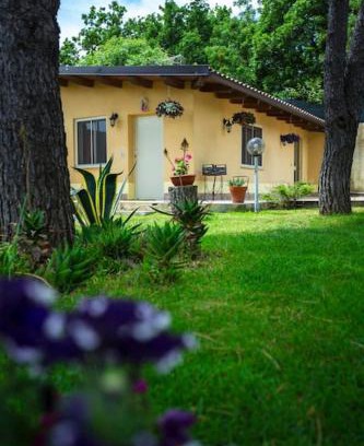 Mascalucia Maison | The Cottage