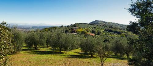 Panicale Maison | The Country House Montali