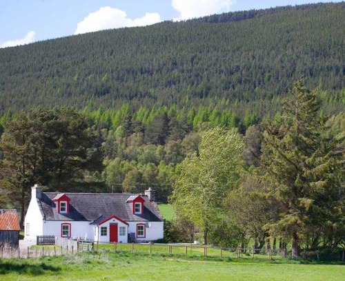 Aviemore Maison | The Croft Cottage - near Aviemore