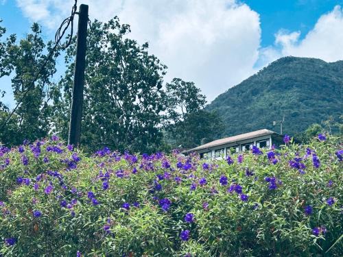 Dambulla Maison | The Dee's at sinharaja