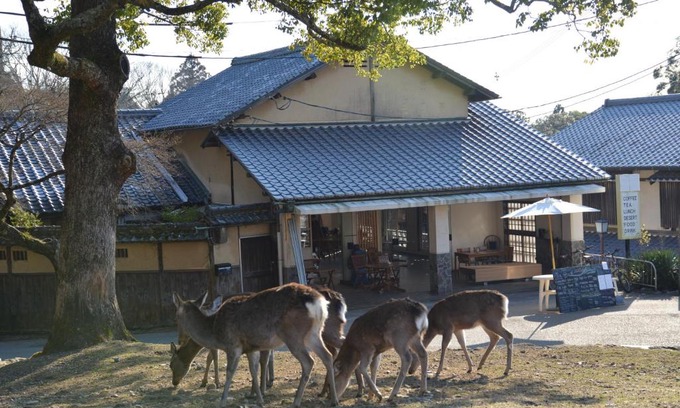 Nara Maison | The Deer Park Inn