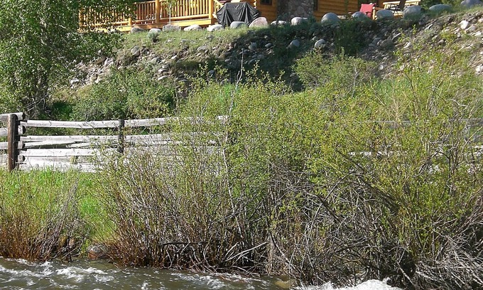 Philipsburg Cabine | Le "Eaglesnest" est une cabane haut de gamme donnant sur Rock Creek.