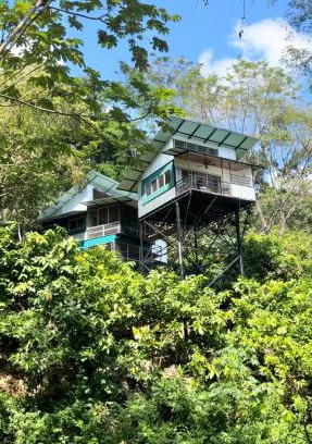 Parrita Maison | The Emerald Haven