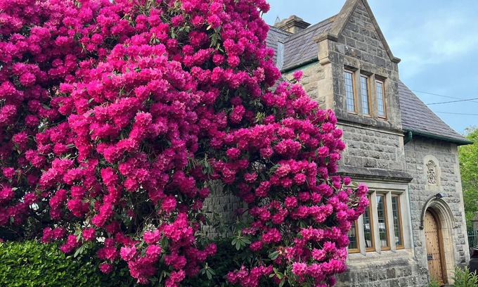 Kilkenny Appartement | The Emerald Heaven in the heart of Kilkenny city