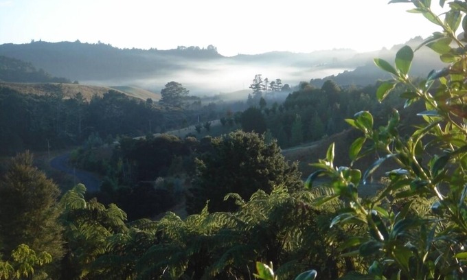 Puhoi Autre | The Essential Garden Studio