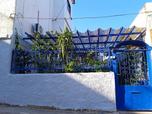 Petralona Appartement | The Filopappou Hive