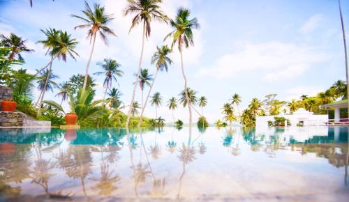 Galagedara Hôtel | The Flame Tree Estate & Hotel