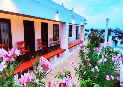 Kalapettai Maison | The French Villa Elite