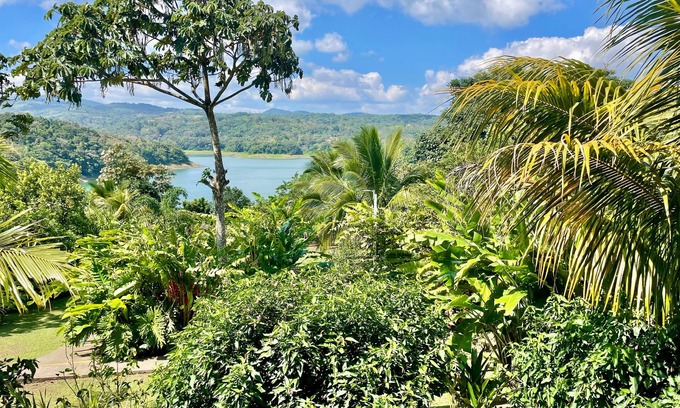 Arenal Autre | The Fruit Tree Garden Bromeliad Suite