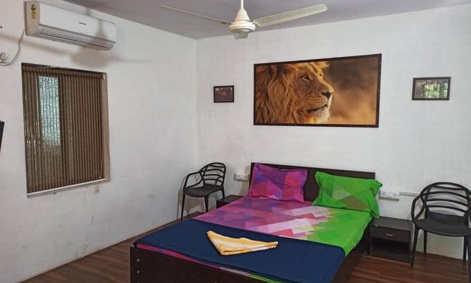 Talala Maison | The Gir Lion