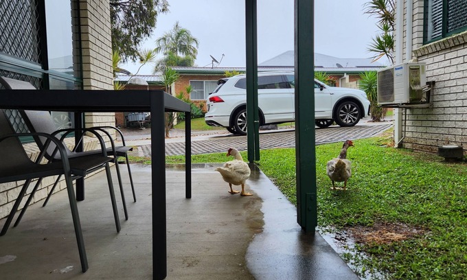 North Mackay Maison | The Goose Pond - 2br, 1.5bth, Aircon throughout.