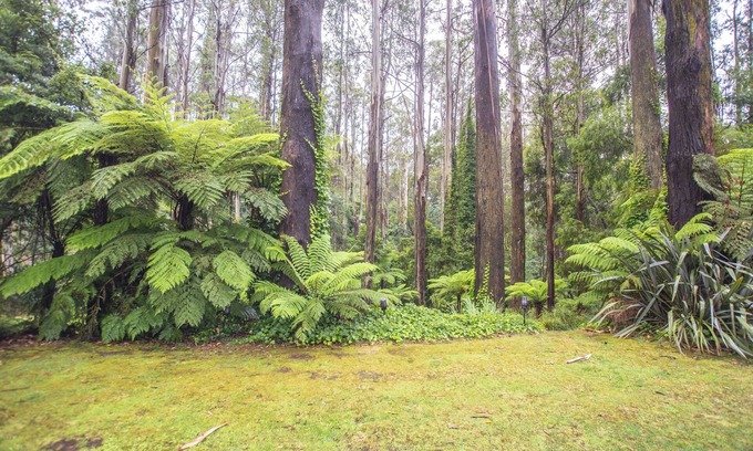 Mount Dandenong Maison | The Grand Lodge: Private rainforest with river