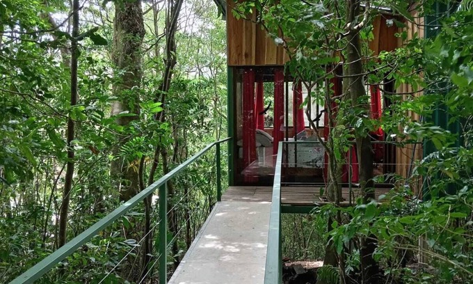Monteverde Lit Et Petit-Déjeuner | The Green Tree Lodge