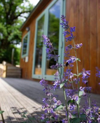 Warminster Autre | The Hideaway at Hidden Wood Glamping