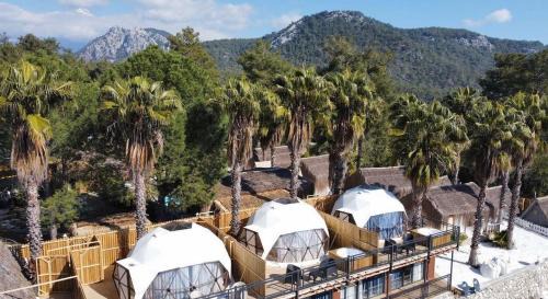 Cirali Chalet De Ski | The Hill Glamping Çıralı