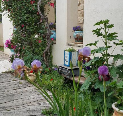 Netaim Hôtel | The House of Taly & Erez