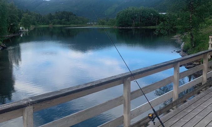 Bogen i Ofoten Appartement | The house on the lake