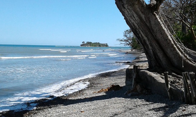 Cabuya Cabine | The Howler Monkey Hotel