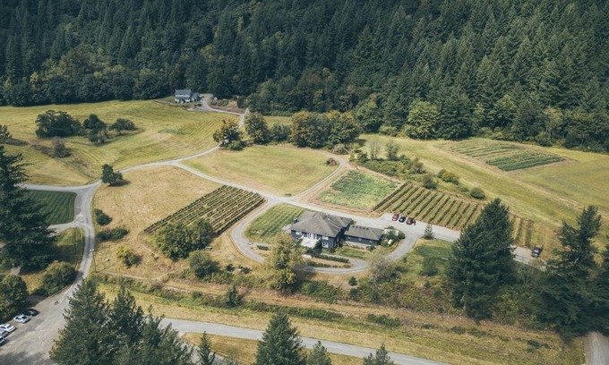 Yacolt Maison | The Inn at Pomeroy Cellars