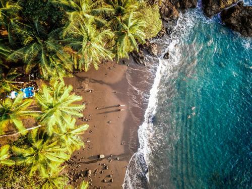 Palma Hôtel | The Jaguars Jungle Rainforest Lodge - All meals included