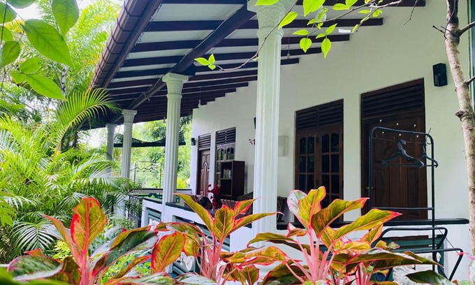 Sigiriya Cabine | The Jungle Path Lodge