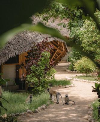 Mto wa Mbu Cabine | The Jungle Pearl Resort