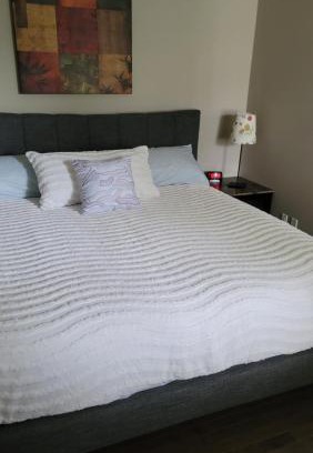 Southwest Calgary Maison | The King place, is a ROOM in a PRIVATE HOUSE, close to CTrain and Spruce Meadows Equestrian