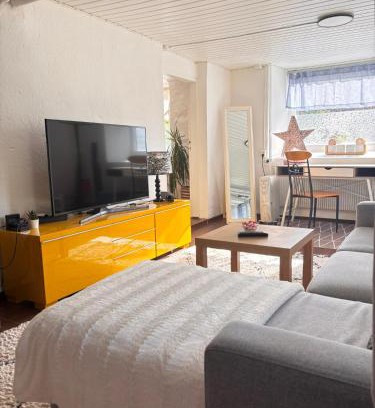 Boras Appartement | The Little Nest Borås, Cozy Apartment with Parking
