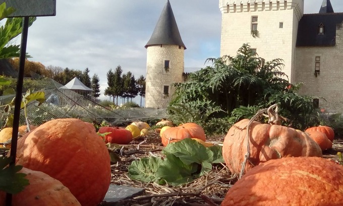 Saint-Avertin Maison | Le gîte des onze arpents, au coeur de la Touraine
