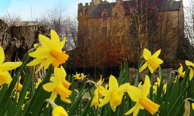 Airth Maison | The Manor at Plane Castle