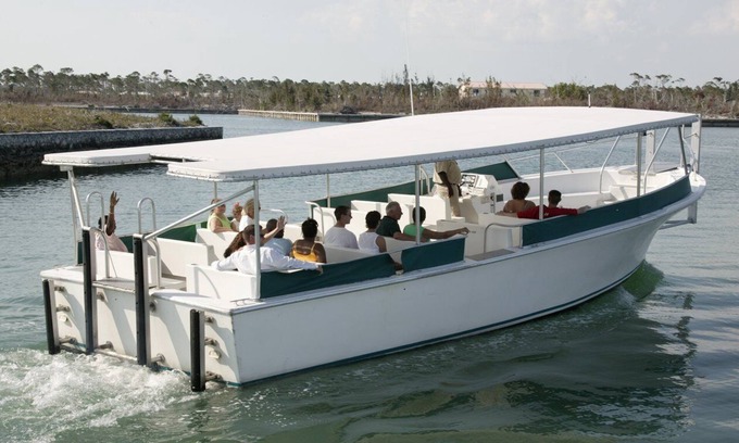 Yeoman Wood Station Balnéaire | The Marlin at Taino Beach