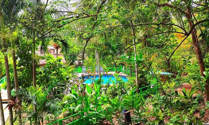 San Ignacio Cabine | The Maya Mountain Lodge