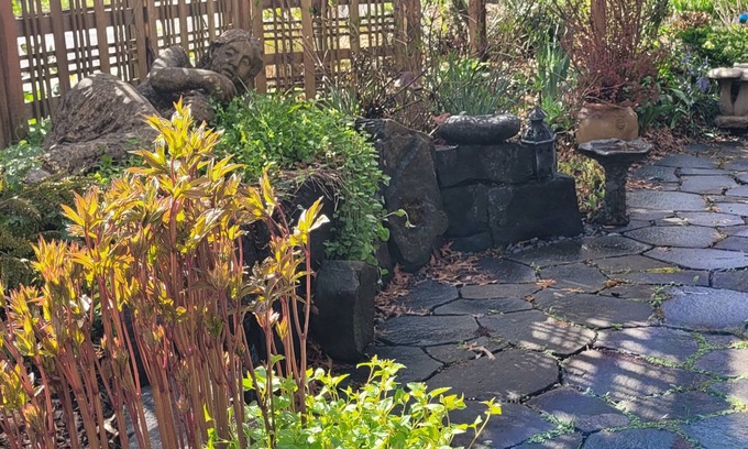 Friendly Appartement | The Nest in South Eugene