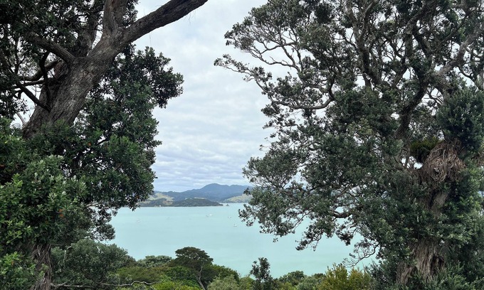 Coromandel Maison | The Nest- Stunning Seaview's