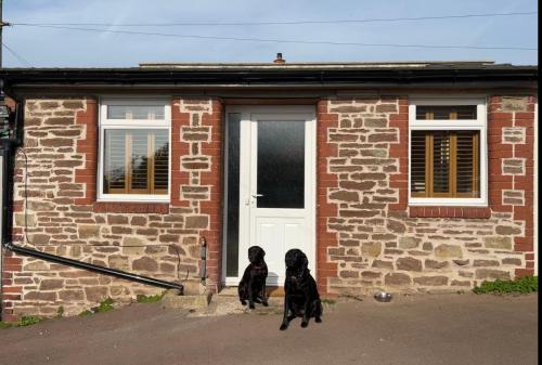Lydney Maison | The Netherend Inn - Pet Friendly Haven
