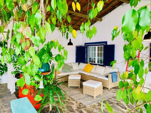 Avis Maison | The Oak Tree Farm - Open Layout Concept by Portus Alacer - Ideal for Families - Unplug, Unwind, and Reconnect with Nature