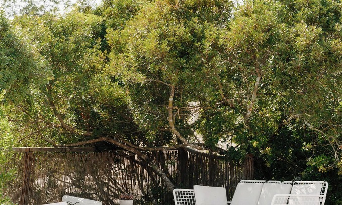 Concelho Appartement | The Old Donkey Suite
