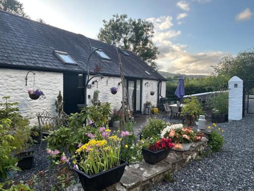 Llandovery Maison | The Old Milking Parlour