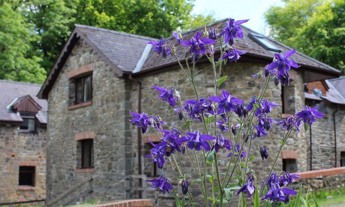 Whitland Cottage | Le vieux moulin. Entouré par plus de 450 acres de ferme biologique