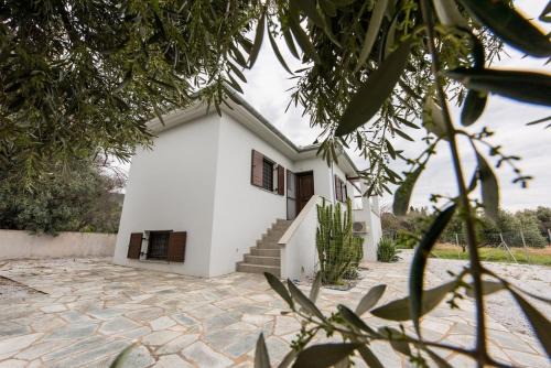 Koropi Maison | The Olive Home