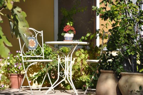 Tsafririm Cabine | The OLive Tree