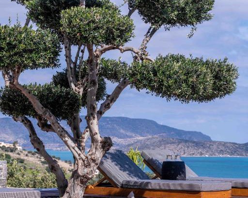 Agios Nikolaos Villa | The Olive Tree Villa Elounda