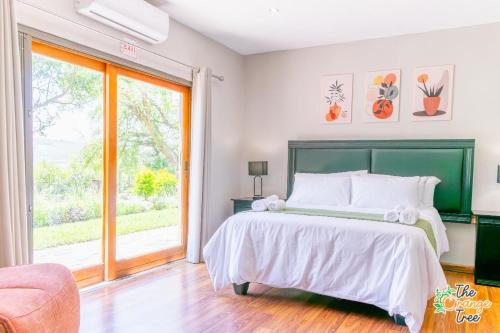 Alkmaar Maison | The Orange Tree Guest House