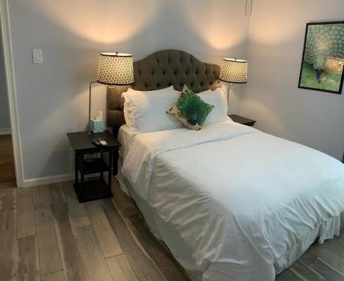 Medical Center District Maison | The Peahen House