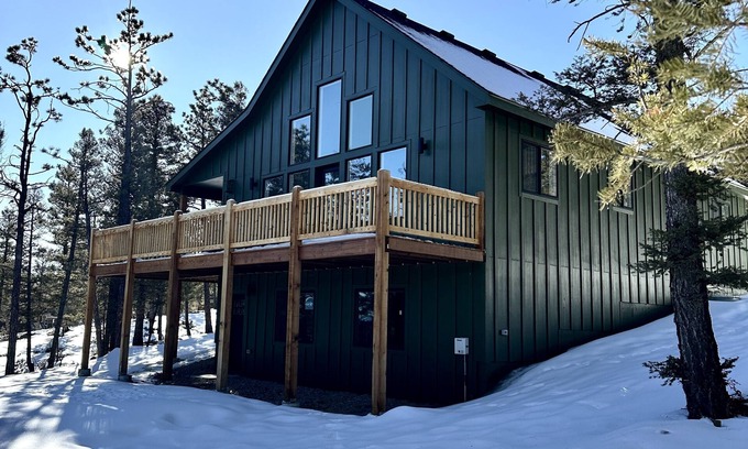Hartsel Cabine | The Pine Haven A Modern Cabin In the Trees. Close to Buenavista!