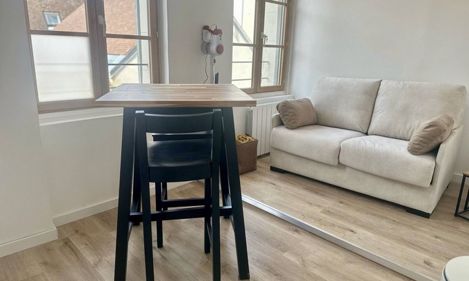 Romorantin-Lanthenay Appartement | L’Appart des Platanes 2 : Châteaux et Beauval