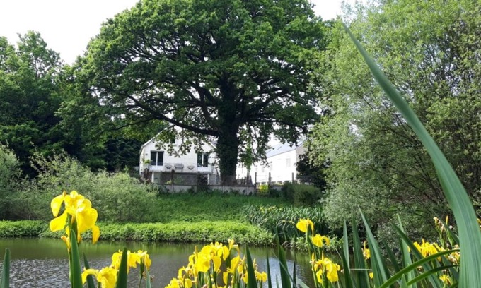 Ploerdut Maison | The pond house